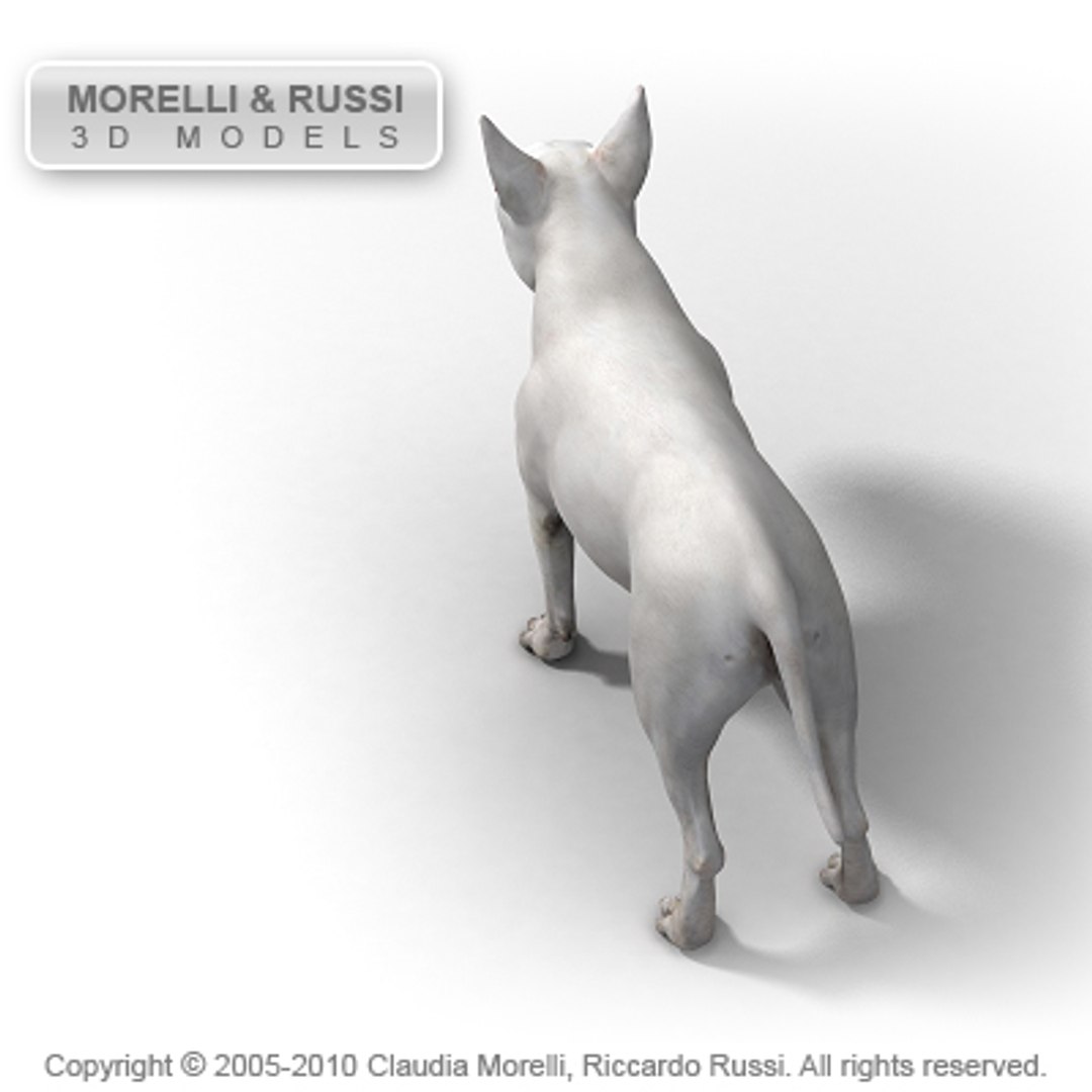 c4d bull terrier https://p.turbosquid.com/ts-thumb/I2/9yWj7C/sHA4IY0e/bullterrierhqshade03/jpg/1284981080/1920x1080/fit_q87/ae89440f427ec926295bff1d508f3bd095596d3b/bullterrierhqshade03.jpg