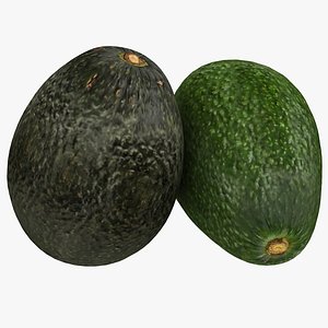 Avocado Ripe and Firm 3D model