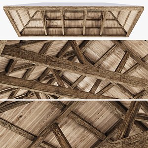 3D Wooden Ceiling V10  with beams