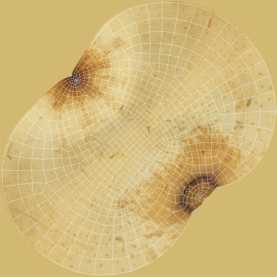 3D nashi pear model https://p.turbosquid.com/ts-thumb/I2/VRwx61/0mTZdDEU/nashipear3dsmodel009/jpg/1496388598/1920x1080/fit_q87/fe148511ec9ad3770b0714aa9d91711575684e75/nashipear3dsmodel009.jpg