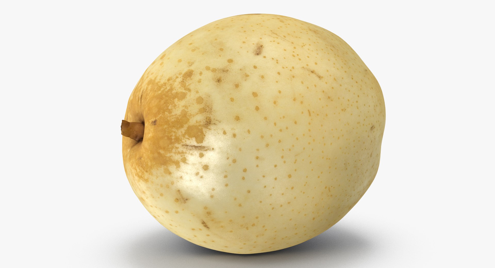 3D nashi pear model https://p.turbosquid.com/ts-thumb/I2/VRwx61/1y3njGSC/nashipear3dsmodel002/jpg/1496388598/1920x1080/fit_q87/21245b87ccb6d874f3aa5fb645aabbe153999edb/nashipear3dsmodel002.jpg