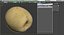 Nashi Pear