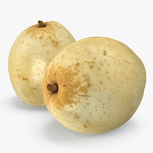 3D nashi pear model