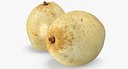 Nashi Pear