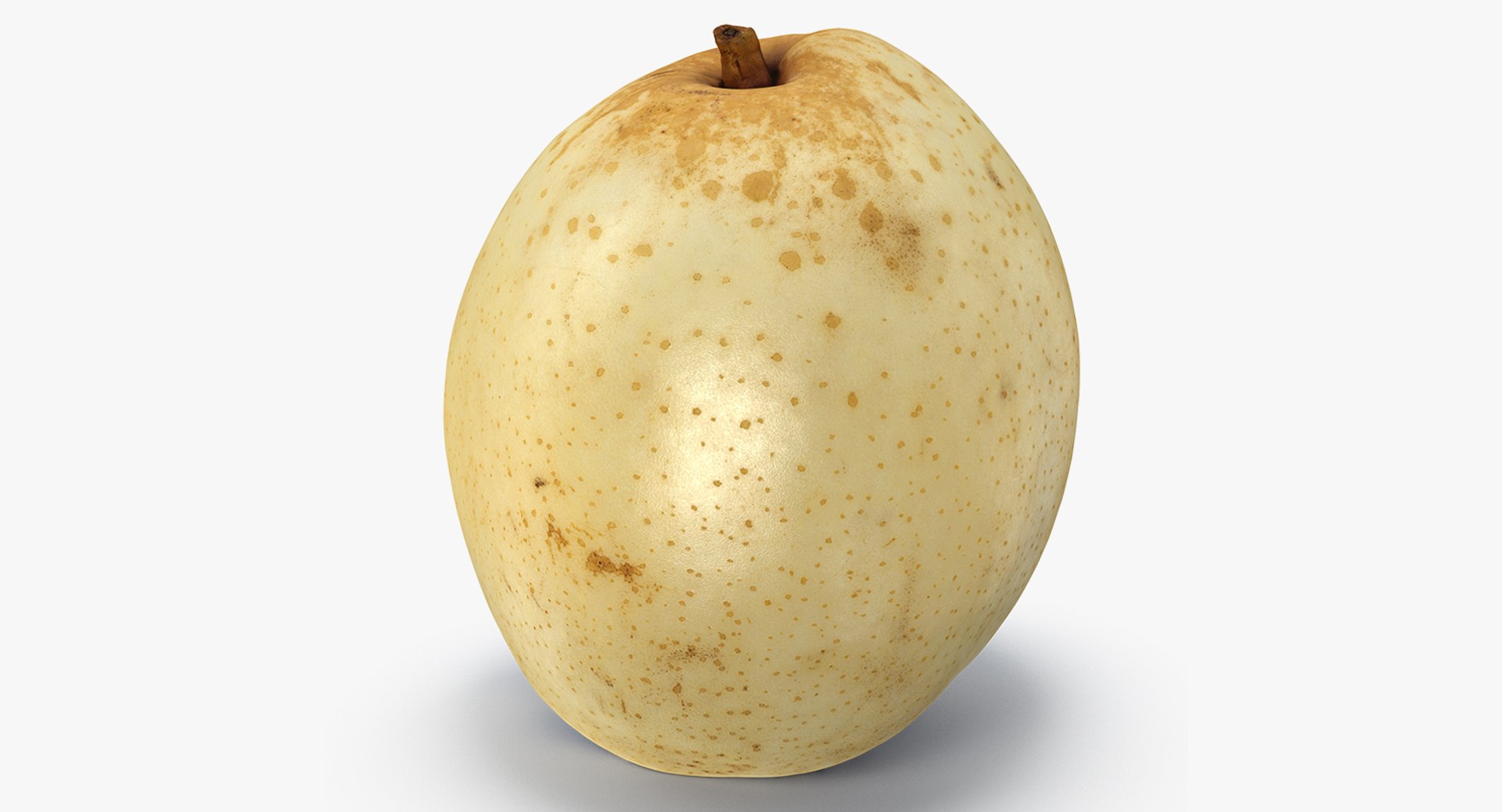 3D nashi pear model https://p.turbosquid.com/ts-thumb/I2/VRwx61/nvk4pnbs/nashipear3dsmodel003/jpg/1496388598/1920x1080/fit_q87/780669e56134d35457650b279261be42bd9b8f20/nashipear3dsmodel003.jpg
