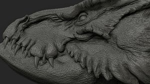 Dragon head BUST
