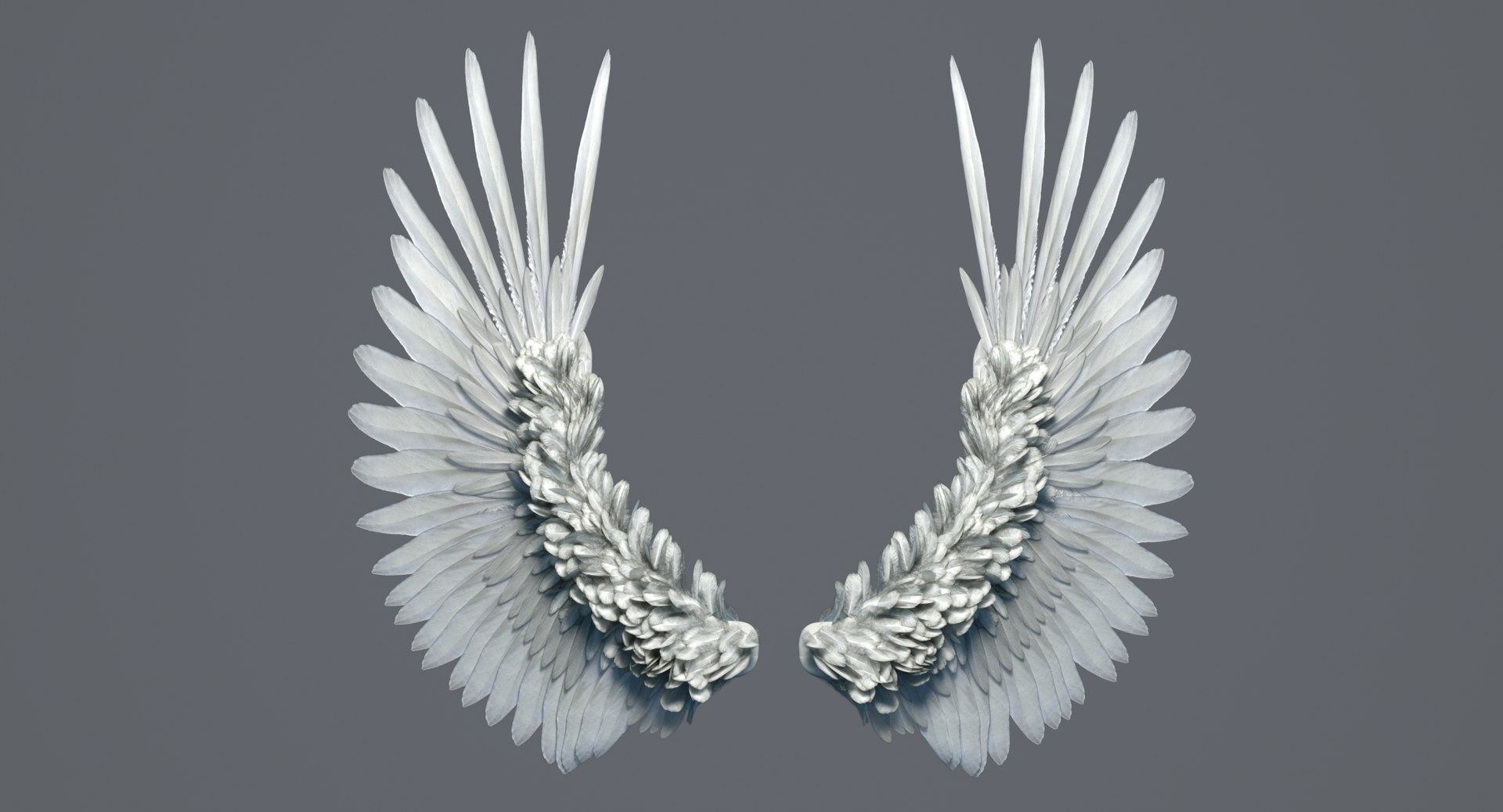 3d Model Realistic Angel Wings Rigged - Turbosquid 1555526