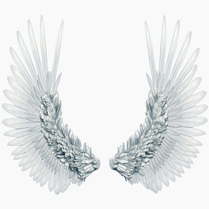 Angel Wings Rigged