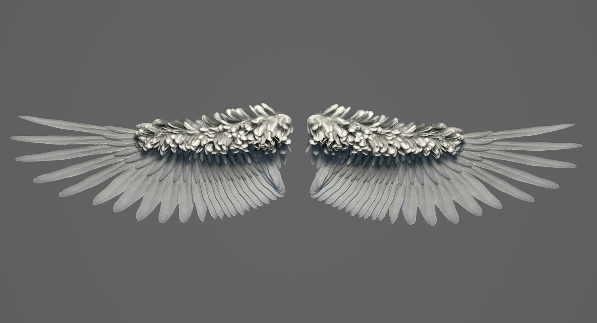 3D Model Realistic Angel Wings Rigged - TurboSquid 1555526