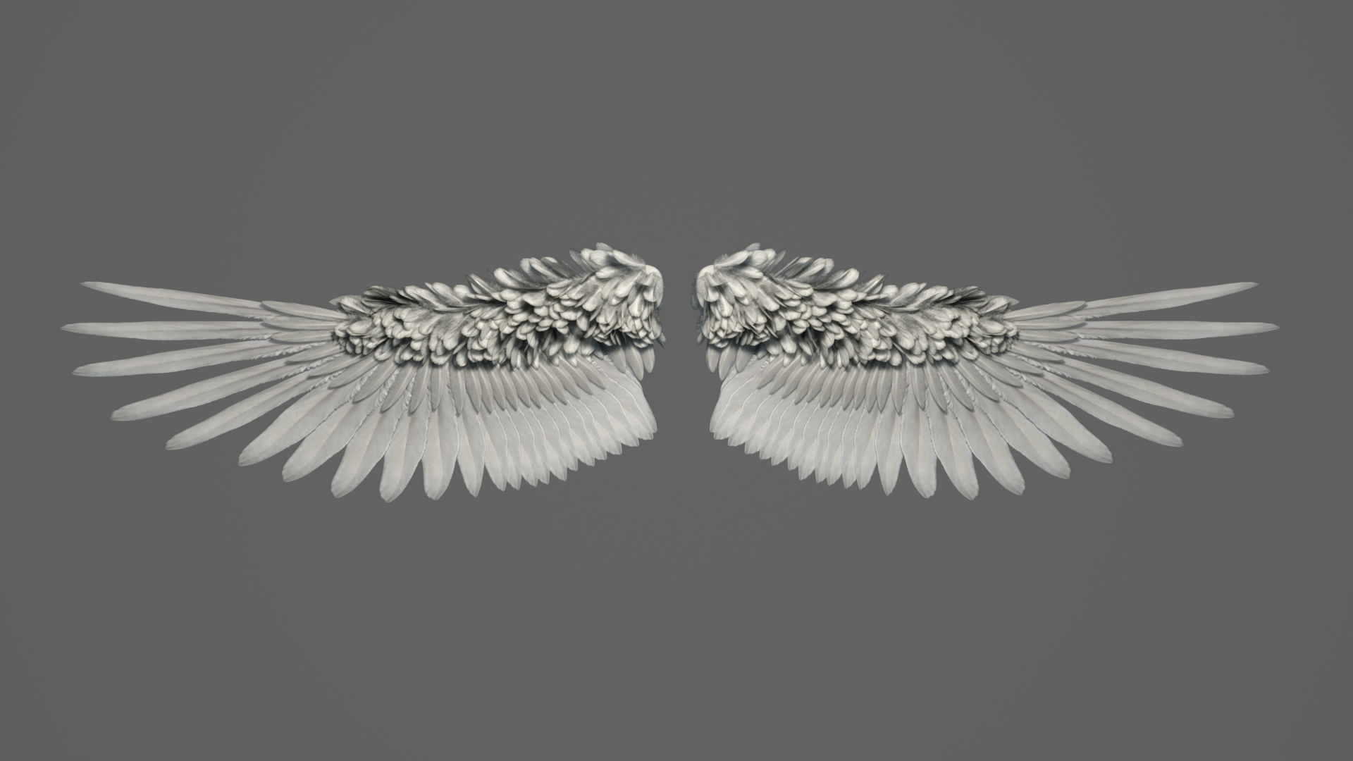 3D Model Realistic Angel Wings Rigged - TurboSquid 1555526