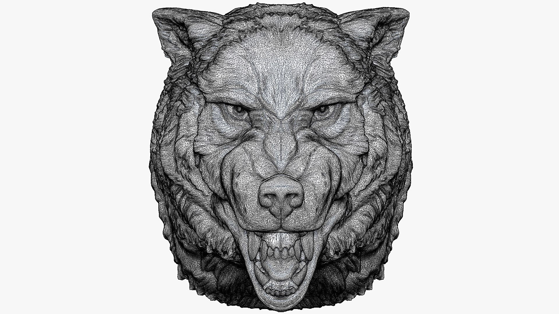 wolf head angry 3D https://p.turbosquid.com/ts-thumb/I3/65dzB5/9B/wolf6/jpg/1711643006/1920x1080/fit_q87/ee75c8df5f9550bda32430d73c5b8b1878e6a9ed/wolf6.jpg