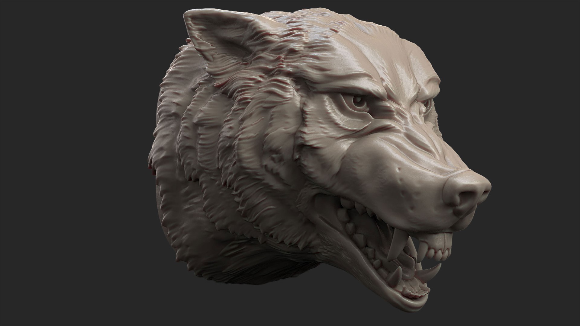 wolf head angry 3D https://p.turbosquid.com/ts-thumb/I3/65dzB5/Kc/wolf2/jpg/1711706725/1920x1080/fit_q87/2f4fcba5bce28bb10bed75181eebc50974b36e92/wolf2.jpg