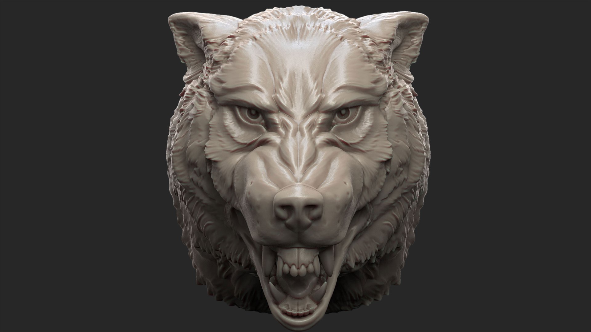 wolf head angry 3D https://p.turbosquid.com/ts-thumb/I3/65dzB5/lm/wolf1/jpg/1711706724/1920x1080/fit_q87/7357ecd9b0d5f058b6c2bd1eda9da1a4b7147ba2/wolf1.jpg