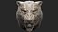 Wolf Head angry