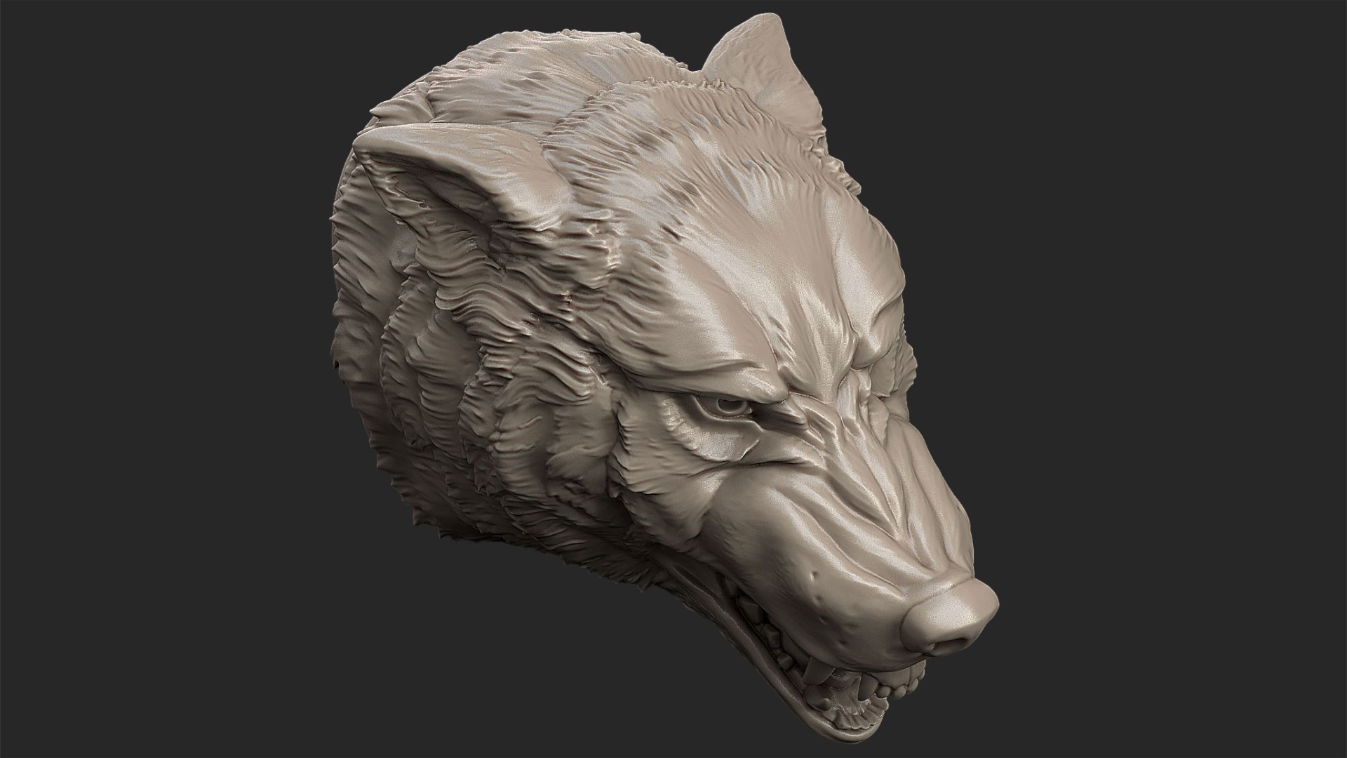 wolf head angry 3D https://p.turbosquid.com/ts-thumb/I3/65dzB5/ov/wolf3/jpg/1711706725/1920x1080/fit_q87/1de1fffdcc1ec68947027cd0ccd07e3d8cfd9c52/wolf3.jpg