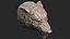 Wolf Head angry