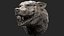 Wolf Head angry