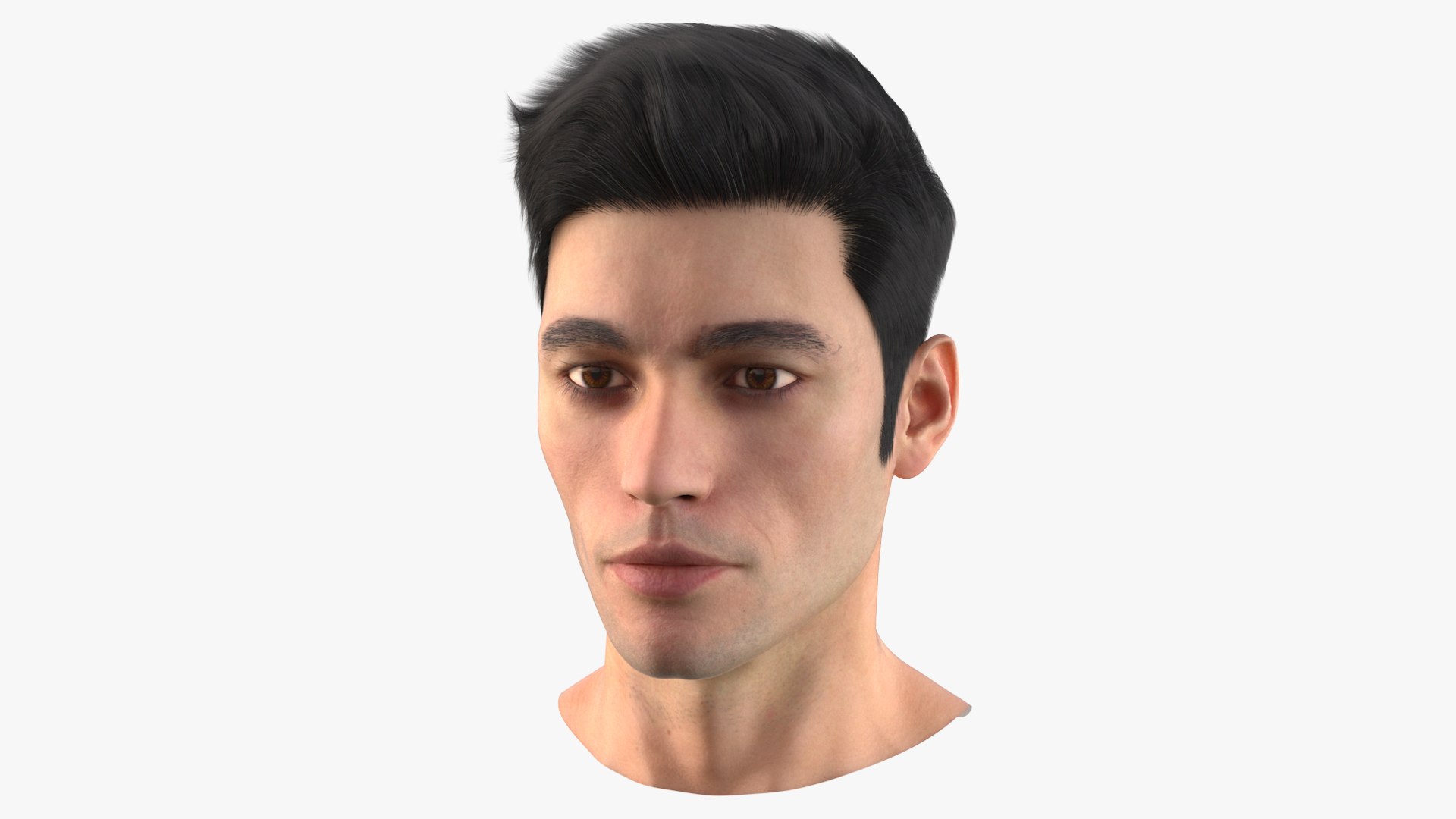 Male Head Fur 3D model preview