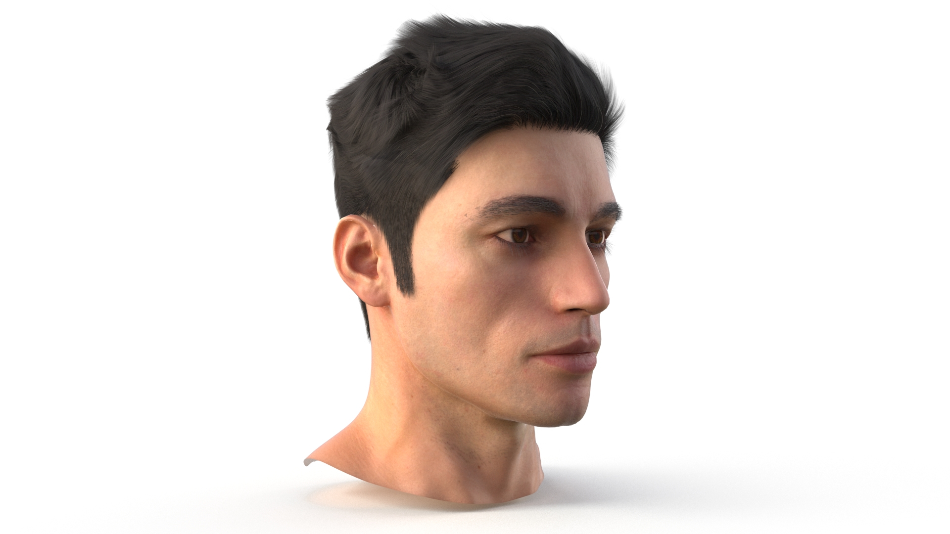 Male Head Fur 3D Model - TurboSquid 2282342