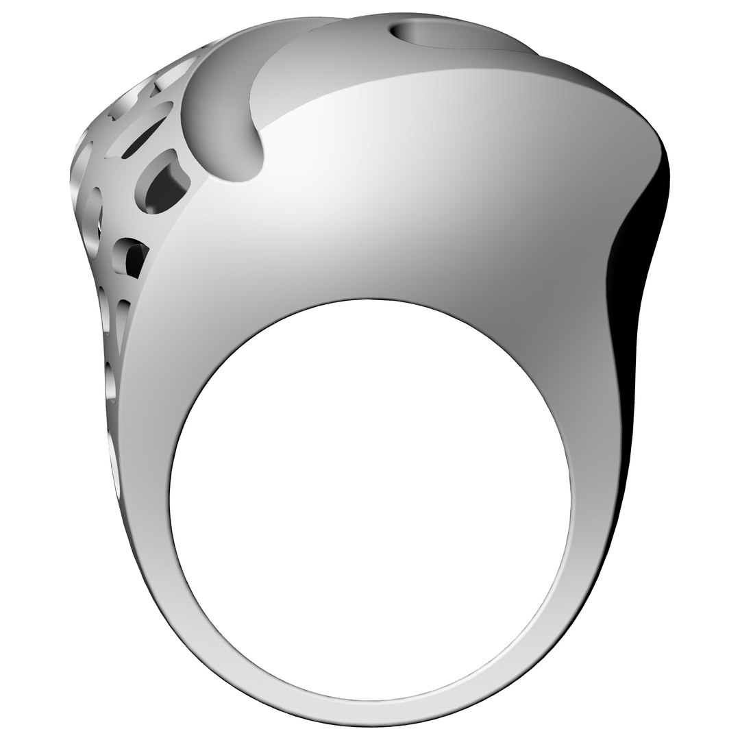 Ring Matrix Rhino 3D - TurboSquid 1707624