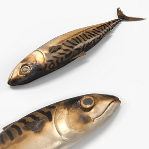 Whole Smoked Mackerel Fish