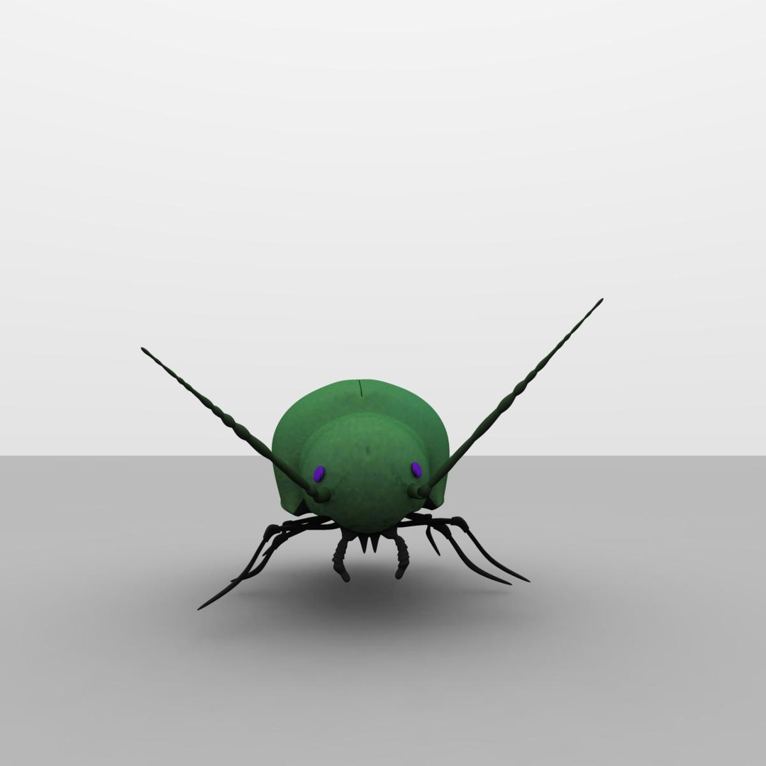 3d Model Beetle