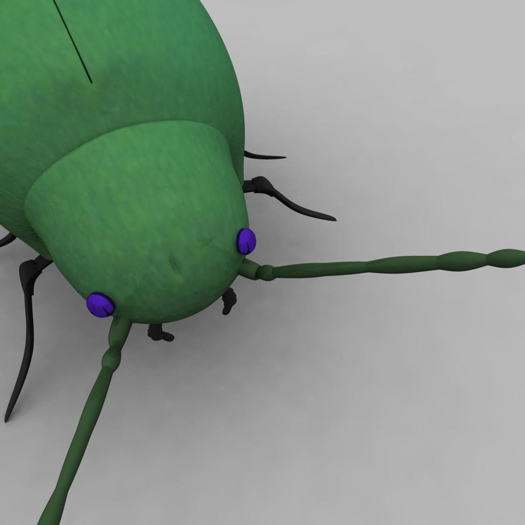 3d Model Beetle