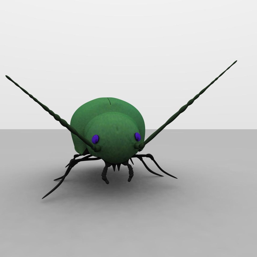 3d Model Beetle
