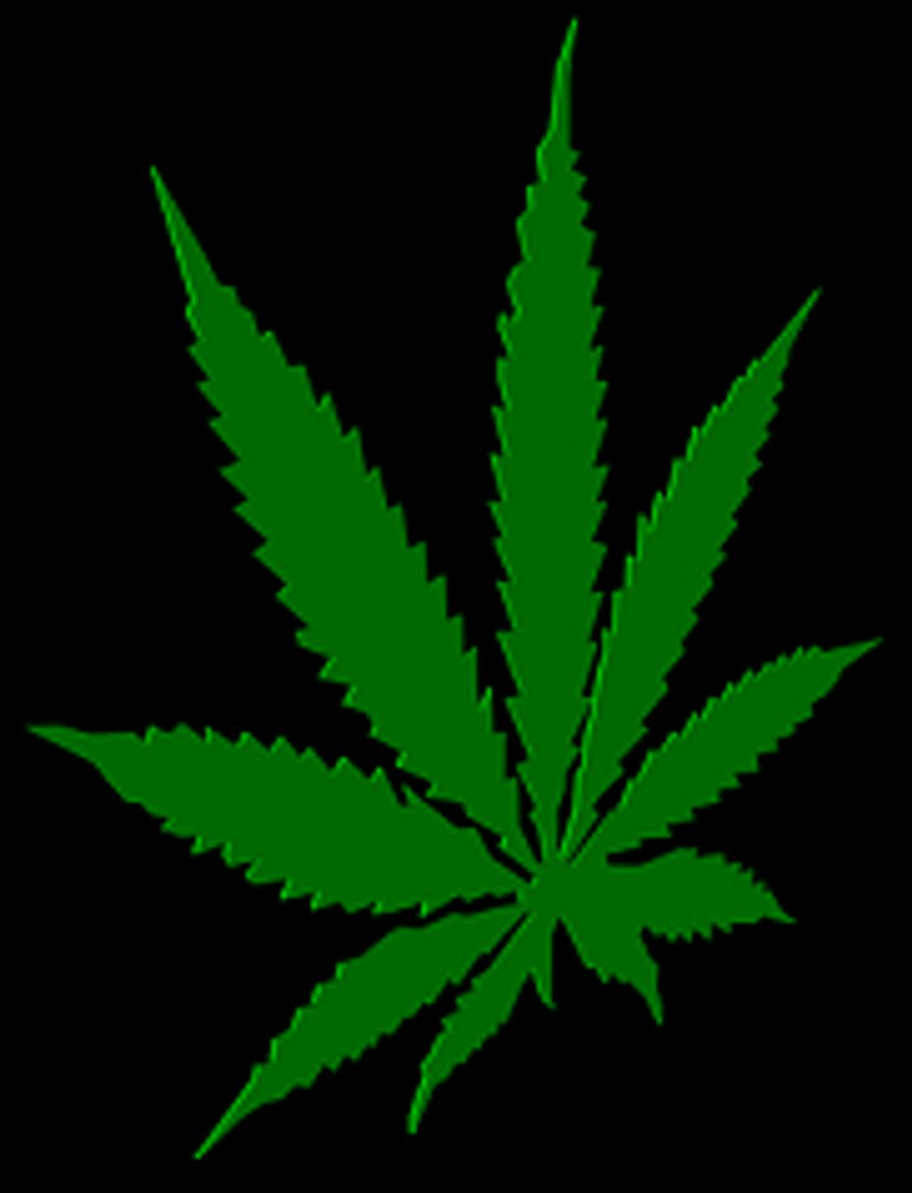 free marijuana leaf 3d model https://p.turbosquid.com/ts-thumb/I4/7S3gNK/TewLsd5y/freemarijuanaleaf3dmodel_dhq/jpg/1163276032/1920x1080/fit_q87/1db218bb995d8fe13314295c2a78960367e6d8c0/freemarijuanaleaf3dmodel_dhq.jpg