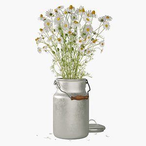 Bouquet Of Daisies 3D model