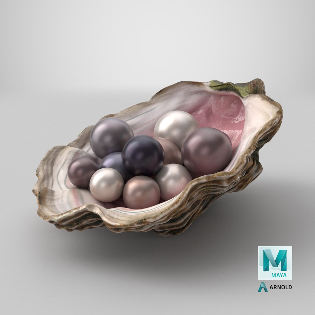 Colored Oyster Shell with Pearls 3D model https://p.turbosquid.com/ts-thumb/I4/Rb1zBK/OK/stemcell_maya_arnold_render/png/1748629216/1920x1080/fit_q87/830347073dbf53990de8c2665d35188028d5dea6/stemcell_maya_arnold_render.jpg