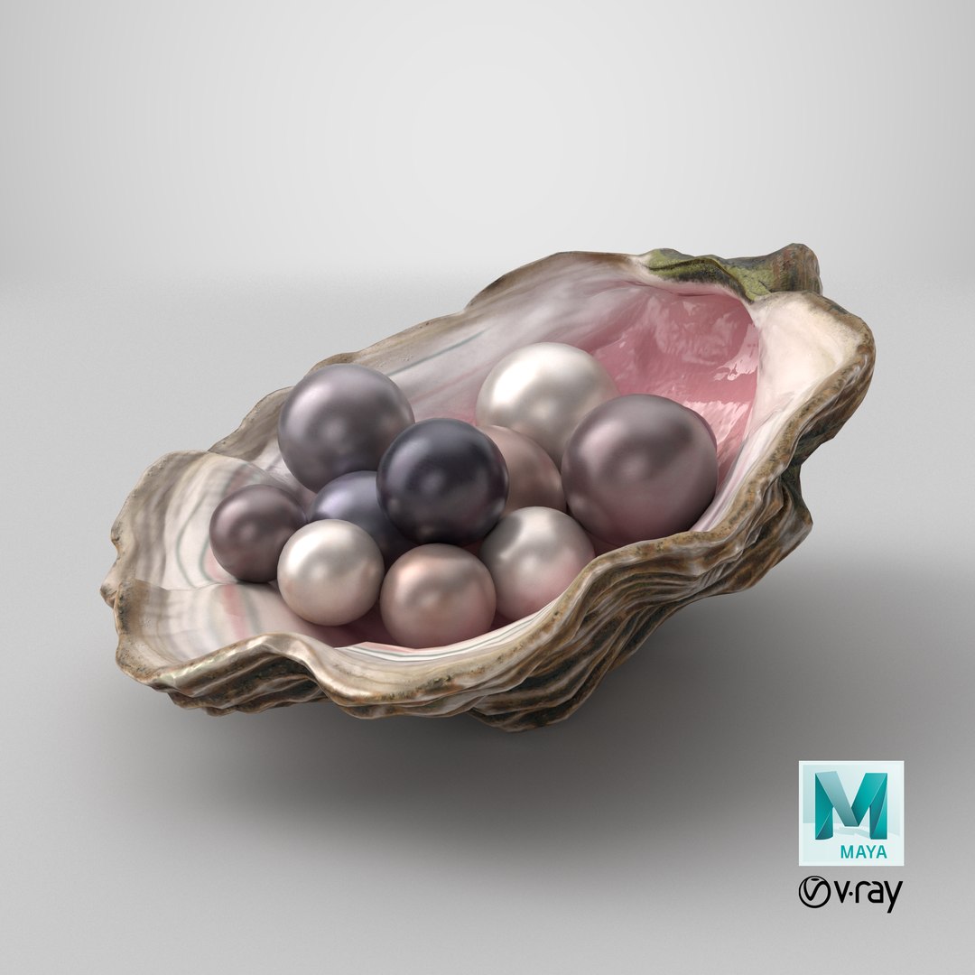 Colored Oyster Shell with Pearls 3D model https://p.turbosquid.com/ts-thumb/I4/Rb1zBK/e9/stemcell_maya_vray_render/png/1748629218/1920x1080/fit_q87/3ed890fcedbaa59d750021353288f033b75d36eb/stemcell_maya_vray_render.jpg