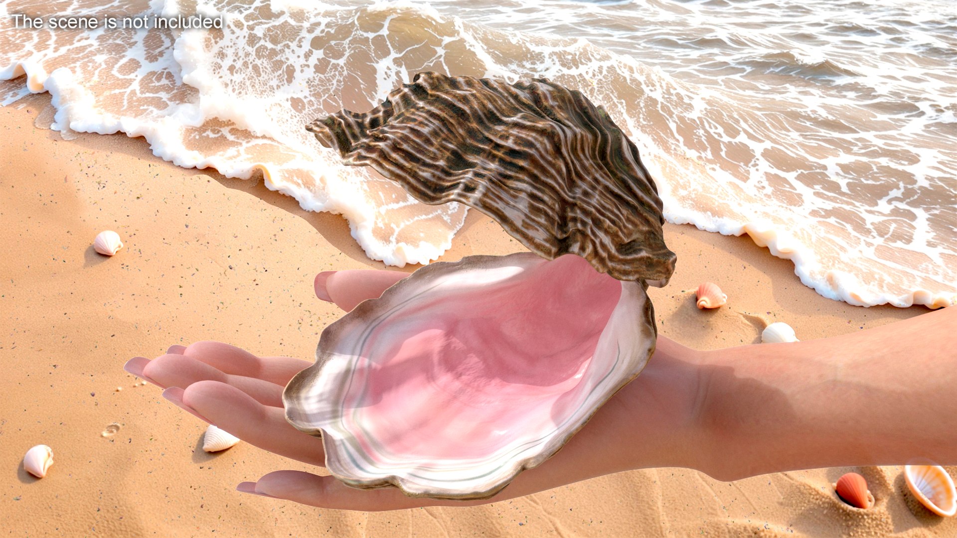 Colored Oyster Shell with Pearls 3D model https://p.turbosquid.com/ts-thumb/I4/Rb1zBK/eW/colored_oyster_shell_with_pearls_003/jpg/1743728774/1920x1080/fit_q87/60dd457ae3f014e91c283f64b7bd60bd0fcda893/colored_oyster_shell_with_pearls_003.jpg