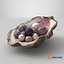 Colored Oyster Shell with Pearls 3D model