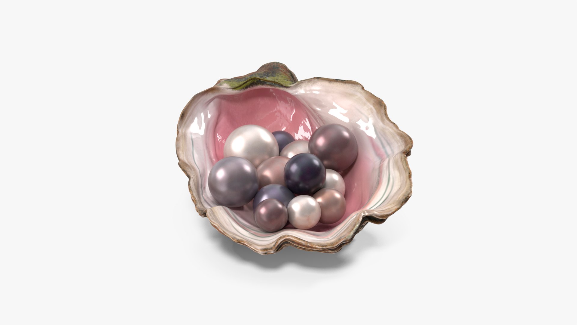 Colored Oyster Shell with Pearls 3D model https://p.turbosquid.com/ts-thumb/I4/Rb1zBK/qk/colored_oyster_shell_with_pearls_002/jpg/1743728511/1920x1080/fit_q87/44bc923f7a4faba31fb54102a15bf93c02ba0393/colored_oyster_shell_with_pearls_002.jpg