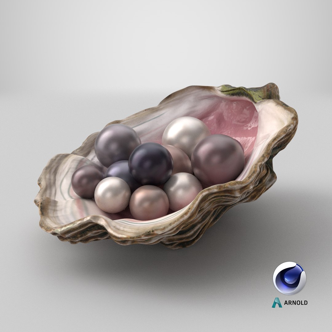 Colored Oyster Shell with Pearls 3D model https://p.turbosquid.com/ts-thumb/I4/Rb1zBK/xi/stemcell_cinema_4d_arnold_render/png/1748629220/1920x1080/fit_q87/2c7680be8041a182ef2cada1658124f52bf025db/stemcell_cinema_4d_arnold_render.jpg