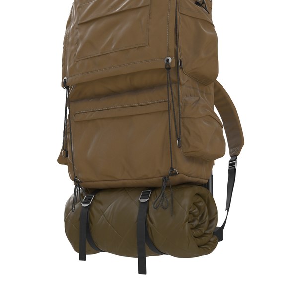 3ds camping backpack 3