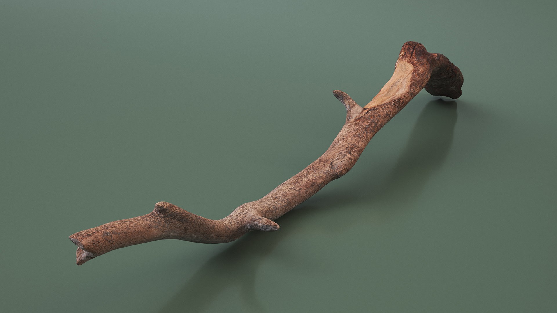 3D Realistic Tree Branch https://p.turbosquid.com/ts-thumb/I4/tDHOmd/En/realistictreebranch3dmodel004/jpg/1724906409/1920x1080/fit_q87/e24ea5de2028fec0dfde659fbaf1b6acef2433da/realistictreebranch3dmodel004.jpg