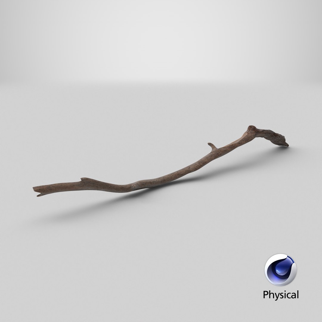 3D Realistic Tree Branch https://p.turbosquid.com/ts-thumb/I4/tDHOmd/G3/stemcell_cinema_4d_physical_render/png/1731670767/1920x1080/fit_q87/573ec9c3dddf8337e04317421be4e053d77ceaeb/stemcell_cinema_4d_physical_render.jpg