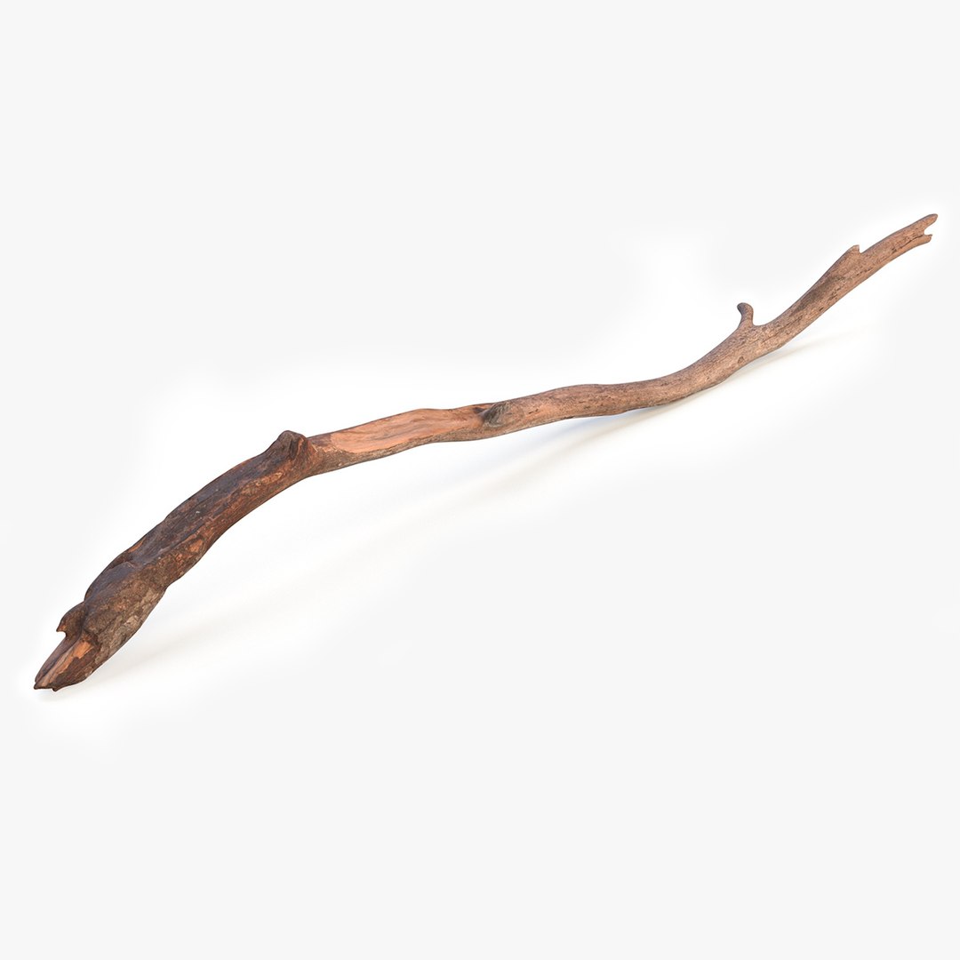 Realistic Tree Branch 3D model preview