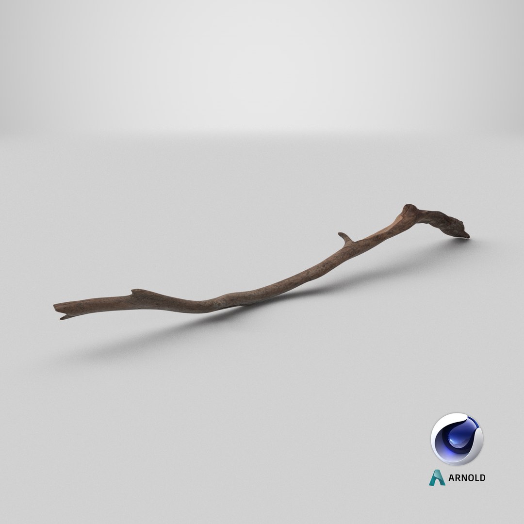 3D Realistic Tree Branch https://p.turbosquid.com/ts-thumb/I4/tDHOmd/h5/stemcell_cinema_4d_arnold_render/png/1731670765/1920x1080/fit_q87/60d463a6059d24bd6b3e95a74df6825c2de7ecc8/stemcell_cinema_4d_arnold_render.jpg