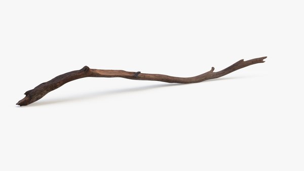 modelo 3d Rama de árbol realista - TurboSquid 2274187