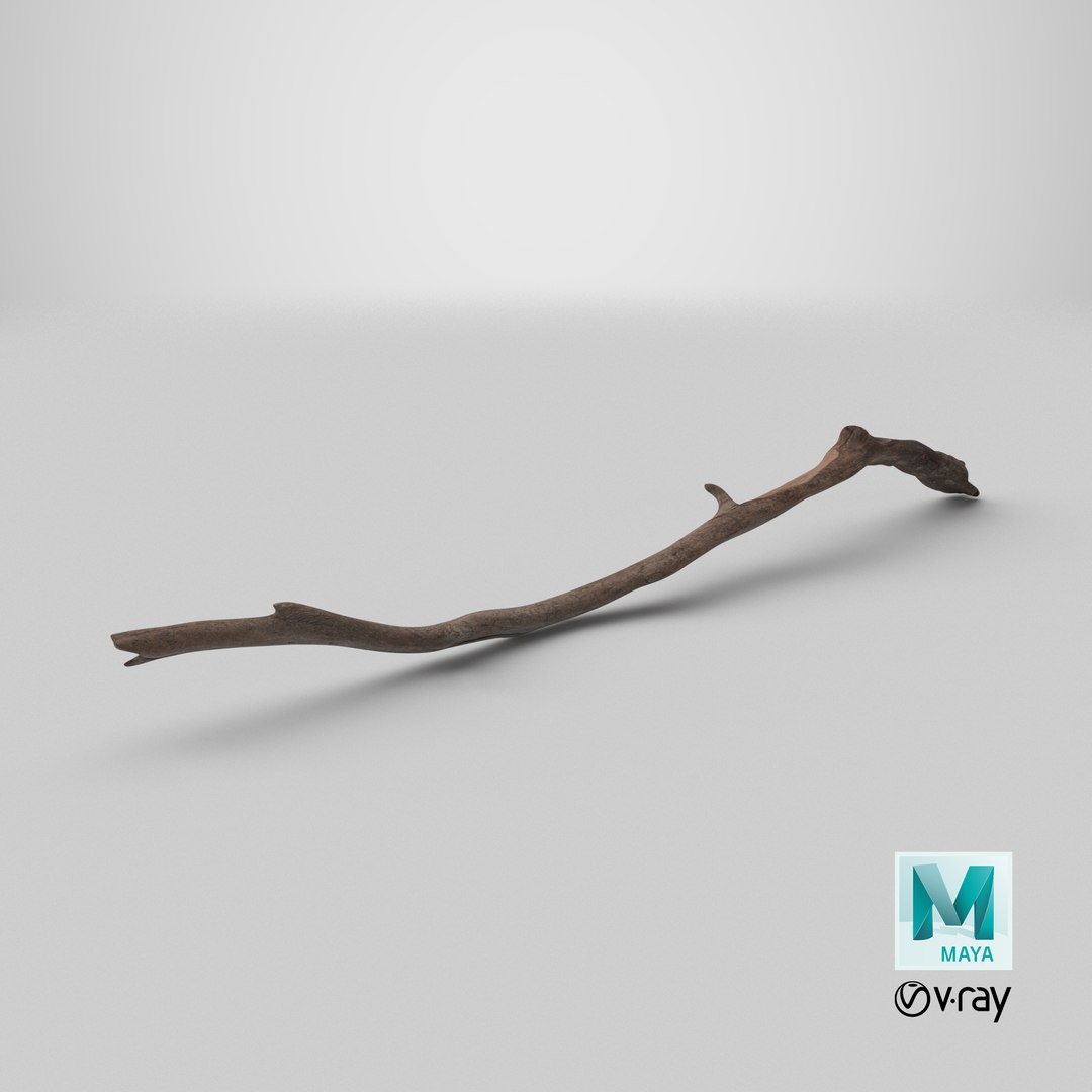 3D Realistic Tree Branch https://p.turbosquid.com/ts-thumb/I4/tDHOmd/t2/stemcell_maya_vray_render/png/1731670764/1920x1080/fit_q87/e9c0ce635fb712a0e9ba16c64d58828a21b74bd5/stemcell_maya_vray_render.jpg