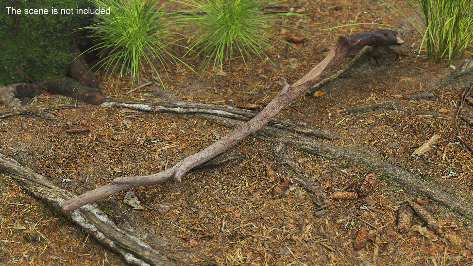 Dry Branches Collection 3D model preview