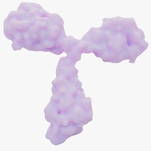IgG Antibody