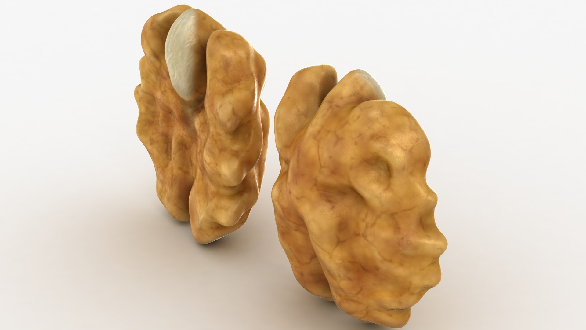 Realistic Walnut Kernel 3D Model - TurboSquid 1567892