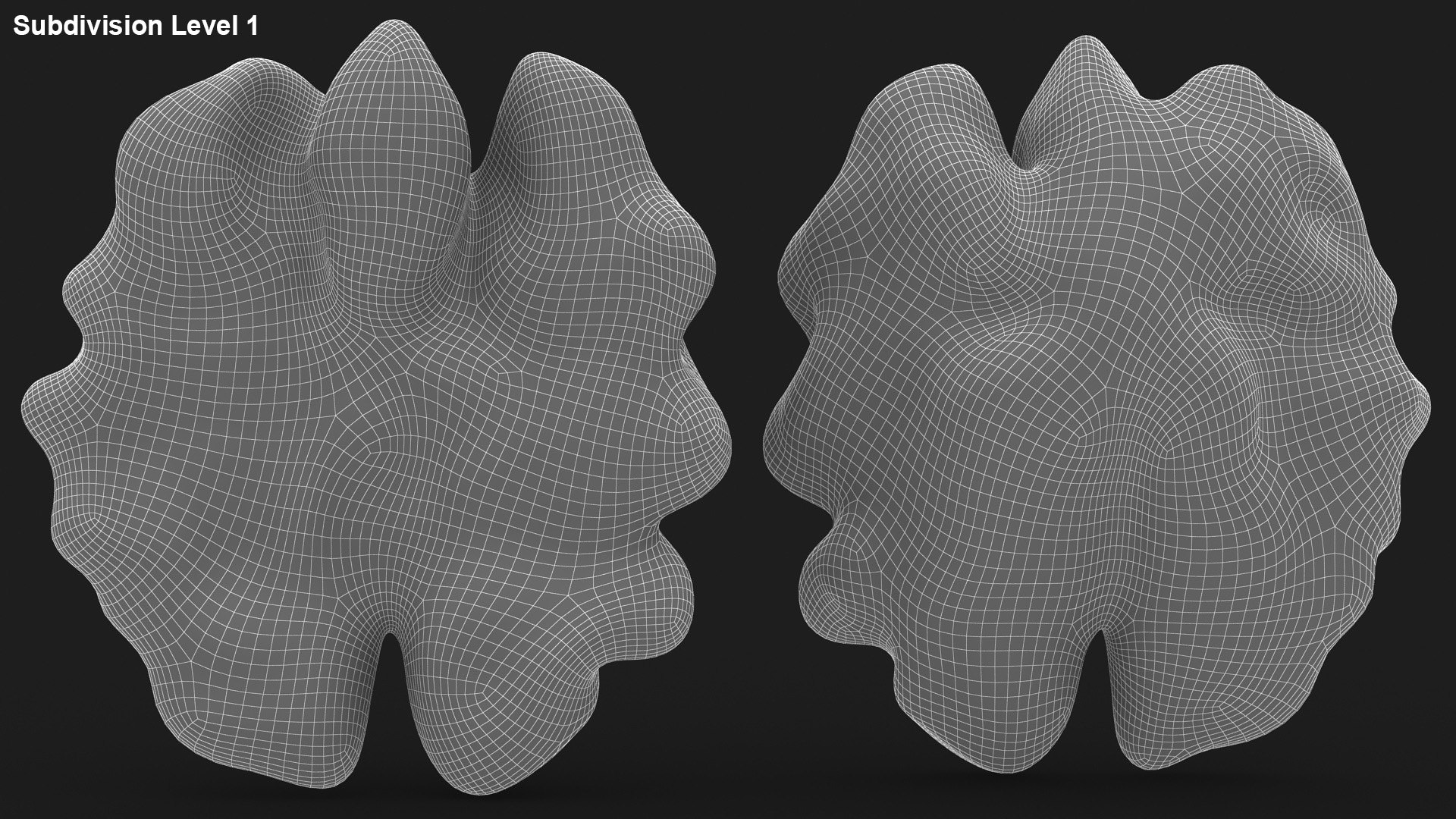 Realistic Walnut Kernel 3D Model - TurboSquid 1567892