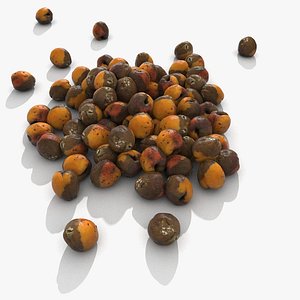 Rotten Decayed Apricot Pile Heap Mound