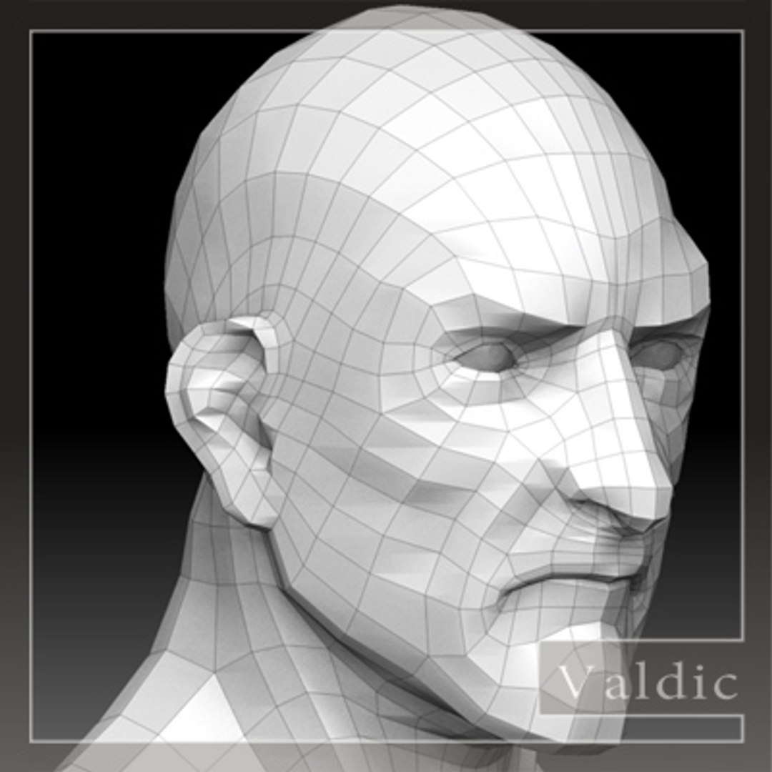 Male Head 3d Model