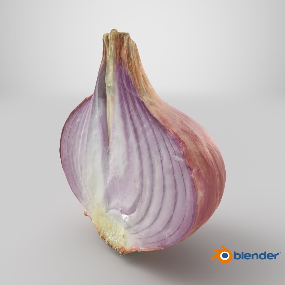 Shallot Half 3D model https://p.turbosquid.com/ts-thumb/I5/HWbVSX/3O/stemcell_blender_cycles_render/png/1710516316/1920x1080/fit_q87/845049dbfb6c04bff5da1175b134bc27ed509410/stemcell_blender_cycles_render.jpg
